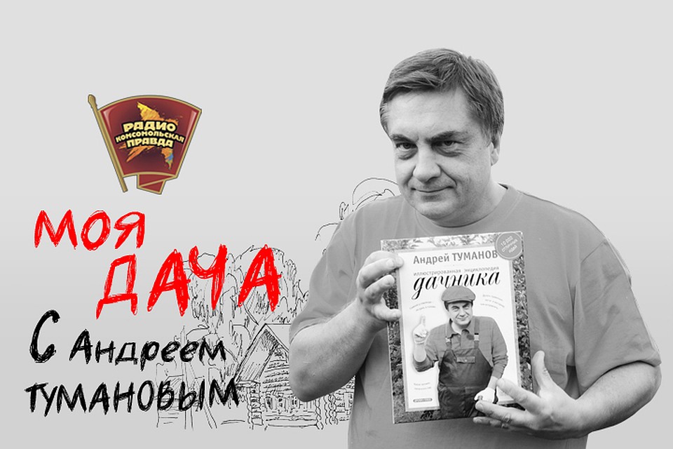 Моя дача