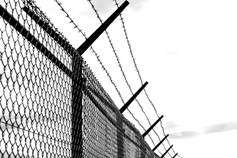 Фото: pixabay.com