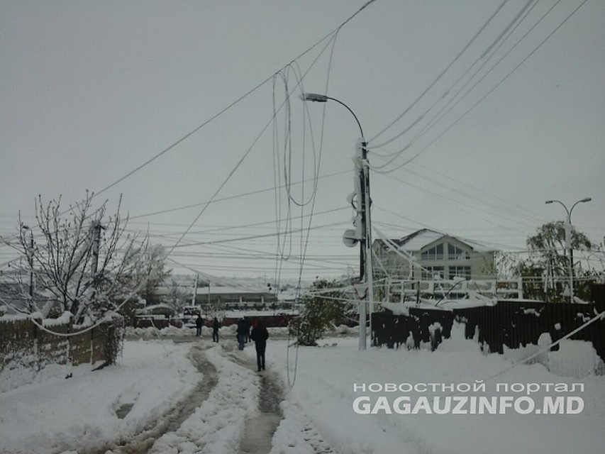 Фото: gagauzinfo.md