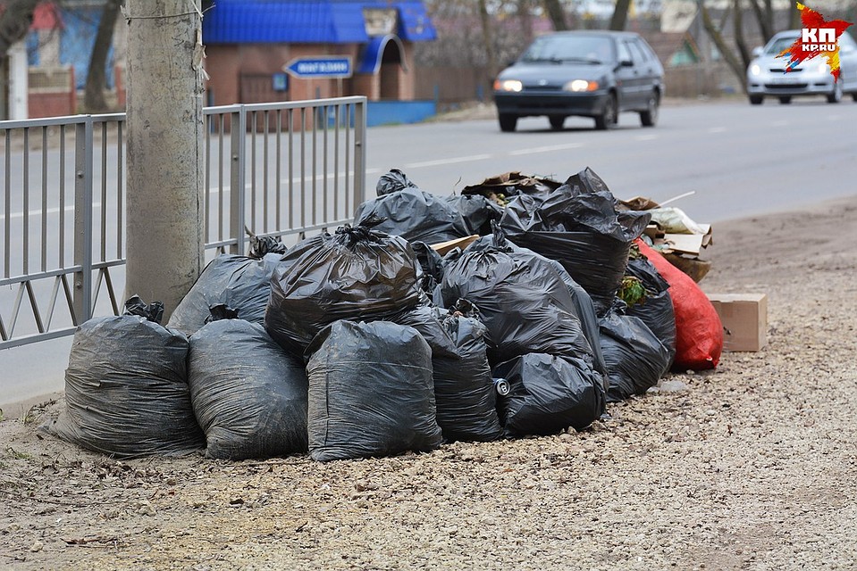 Орел отыскал деньги только на «кричащие» свалки