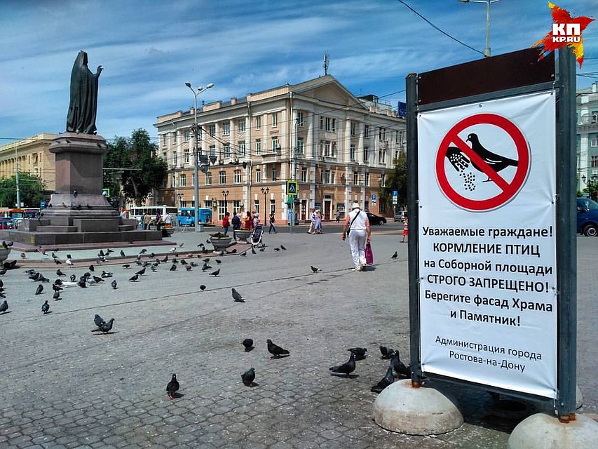 Плакат-предостережение стал еще одной достопримечательностью Соборной площади. Фото: Федор Ларин.