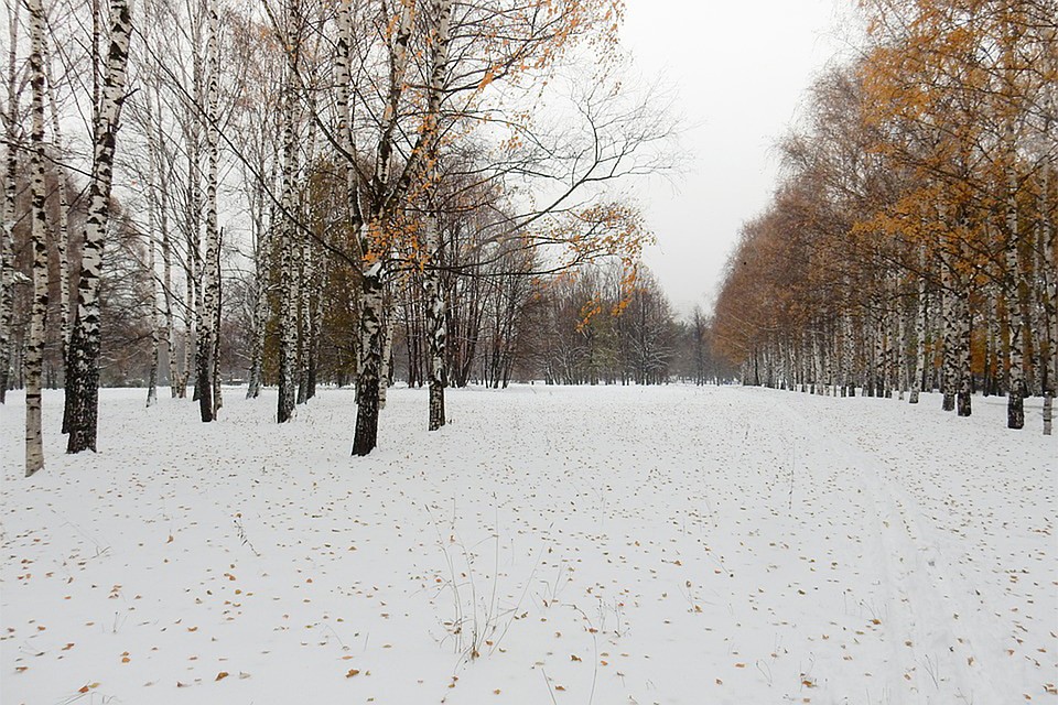 Фото: pixabay.com