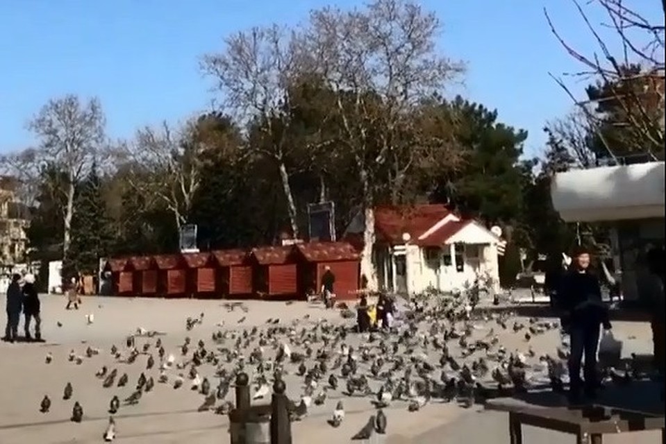 Фото: скришот с видео