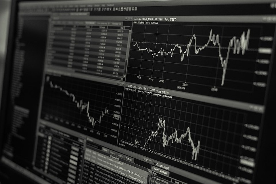 Фото с сайта pixabay.com В Беларуси появился совет по развитию цифровой экономики