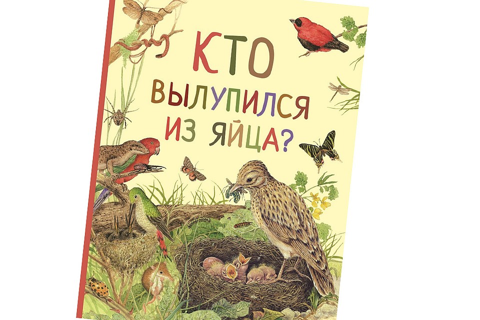 Обложка книги «Кто вылупился из яйца?»