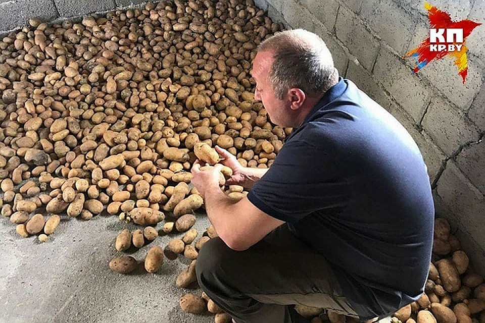 Такой фотографией президент Грузии делился в прошлом году Фото: Фейсбук Giorgi Margvelashvili