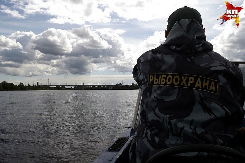 Рыбалка в период нереста может обернуться тюрьмой