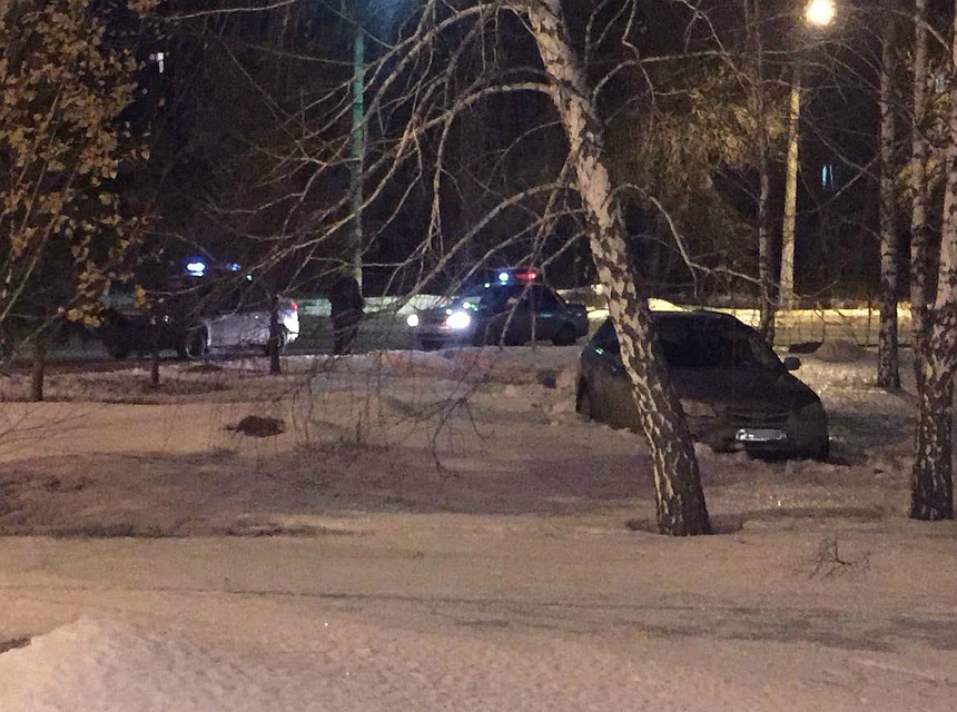 Фото: пресс-служба управления Росгвардии по Омской области.