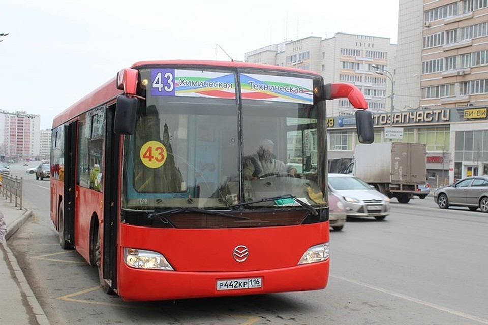 Фото : Алина НИЗАМОВА.