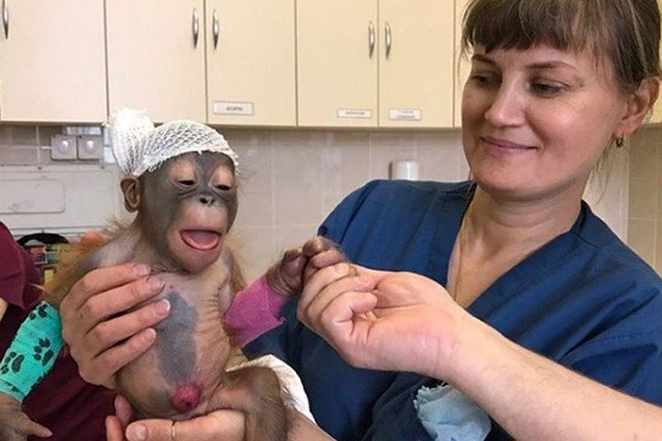 Фото: https://www.instagram.com/vetklinikabest/