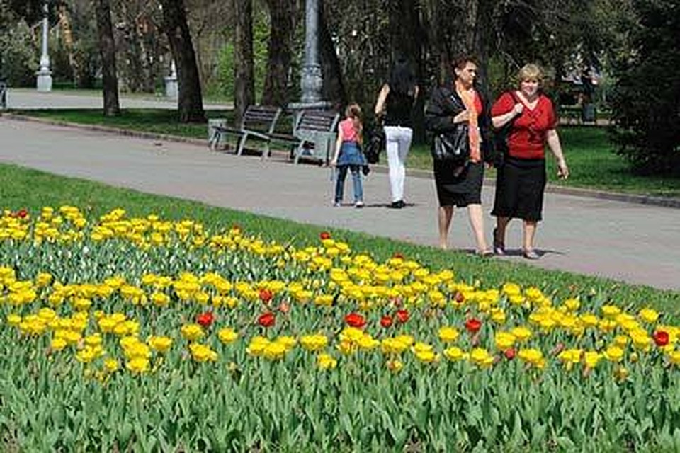 К сожалению, в последние годы наша область стремительно теряет жителей.