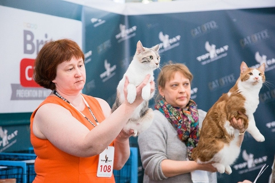 ФОТО: Екатерина БЫКОВА