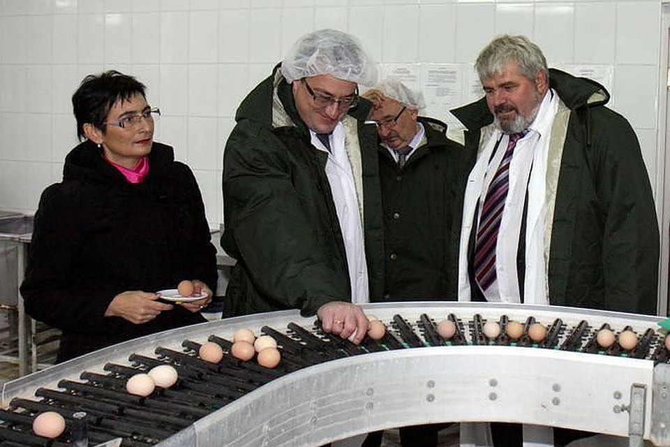 1 млрд 450 млн руб. в качестве дивидендов перечислила птицефабрика «Метлизингу».