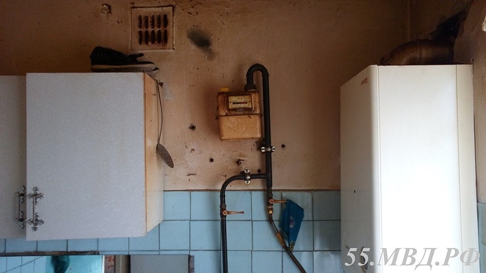 Фото: УМВД России по Омской области