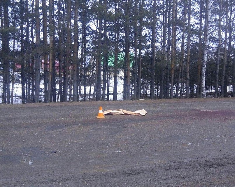 На трассе в Томском районе автомобиль сбил женщину. Фото: пресс-служба УМВД по Томской области.