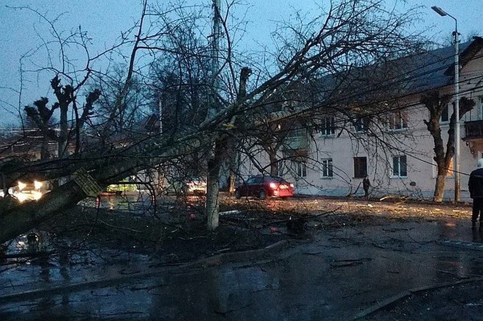 После урагана более 1700 домов в ЦФО остались без электричества