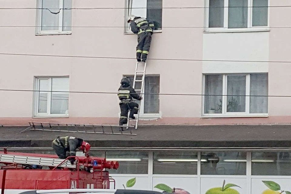 В Мурманске пожарные выезжали на подгорание пищи. К счастью, окно выламывать не пришлось. Его аккуратно открыли и нашли в квартире хозяина, живого и здорового. Фото: Yuka Udacha