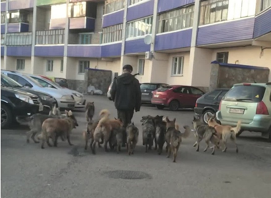 Фото: скриншот видео