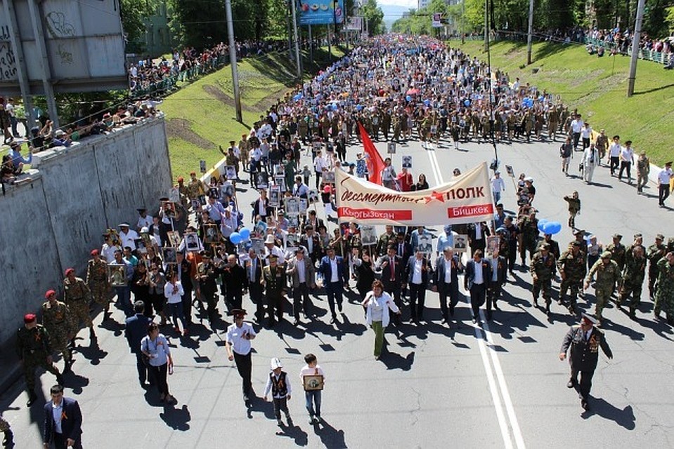 Фото с сайта пиксабай