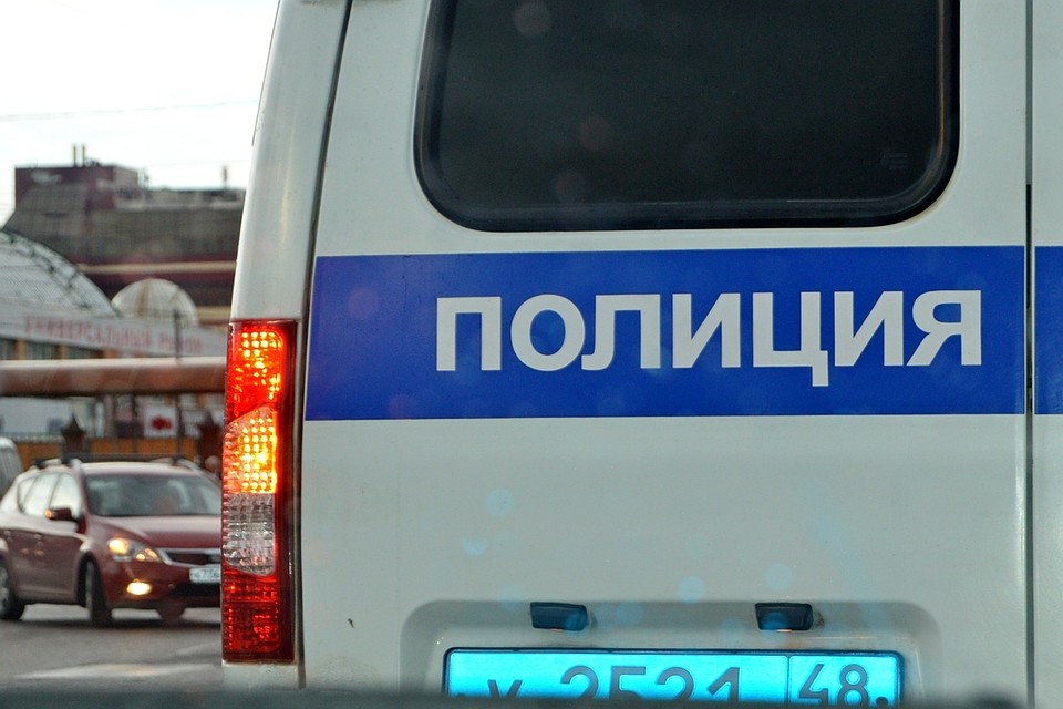 Двух воришек поймали в Липецке