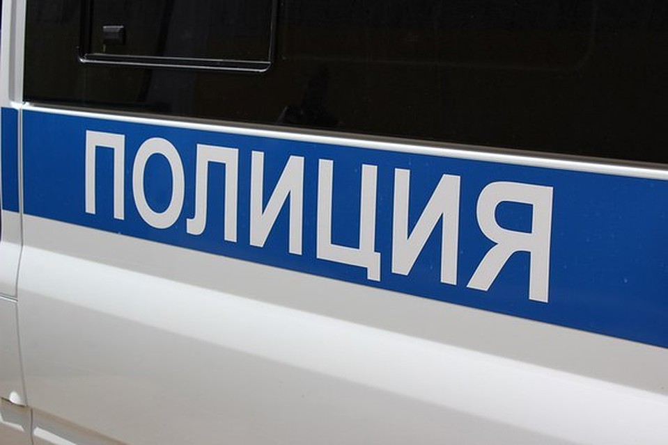 На задержанных завели уголовное дело по статьям «Грабеж» и «Умышленное причинение тяжкого вреда здоровью»