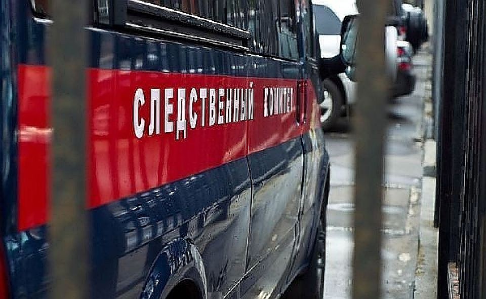 Следственный комитет возбудил сразу два уголовных дела против депутата
