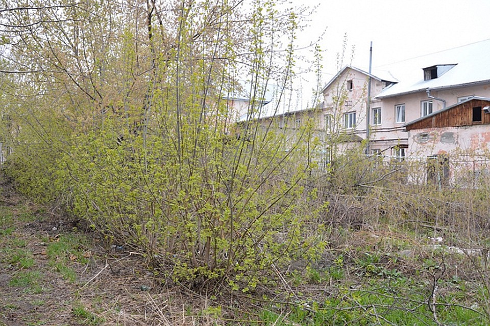 Скоро здесь появится детская площадка