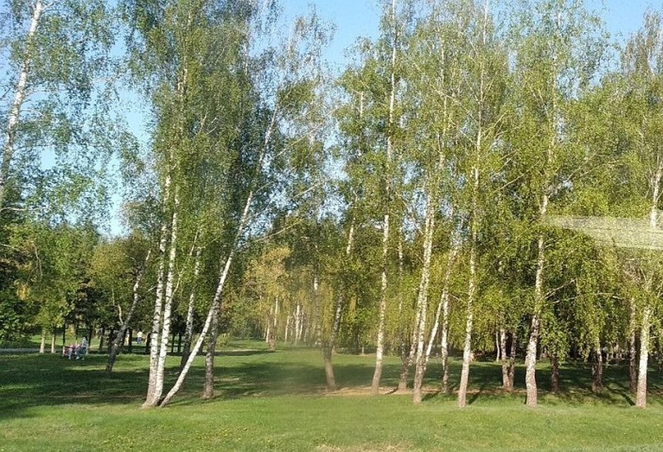 Количество пострадавших от клещей растет