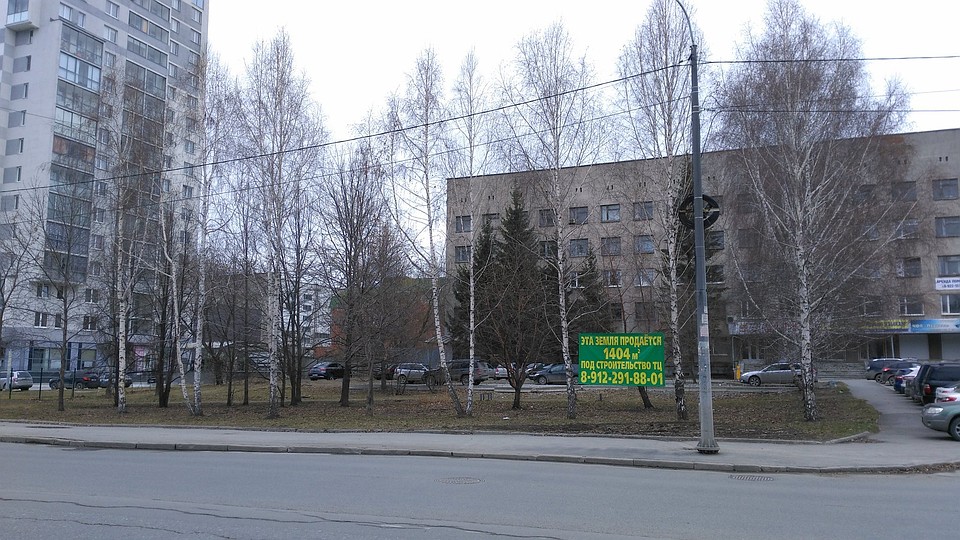 Фото: Роман Тихонов