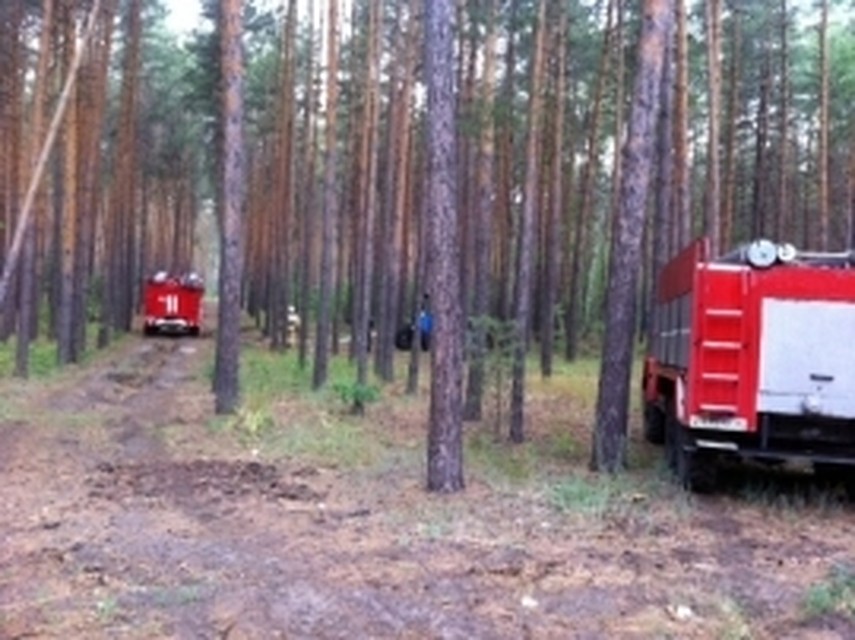 фото с сайта ГУ МСЧ по Воронежской области