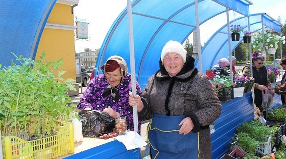 Торговые ряды появились в Барнауле на площади Спартака