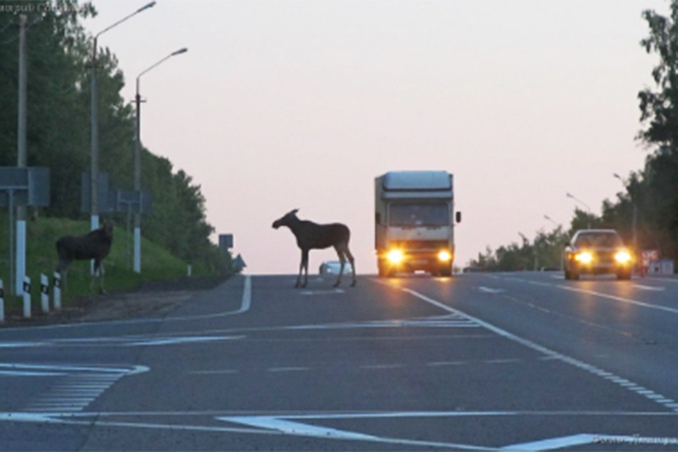 ФОТО: Дмитрий Сатанов/twitter.com