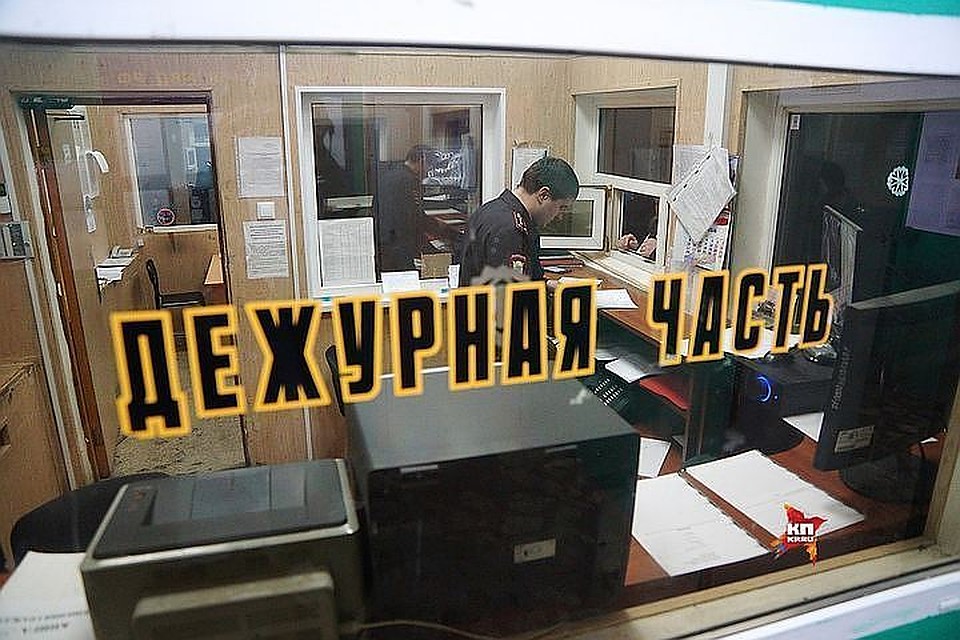 Житель Хабаровского края на глазах у ребенка избил и зарезал кота