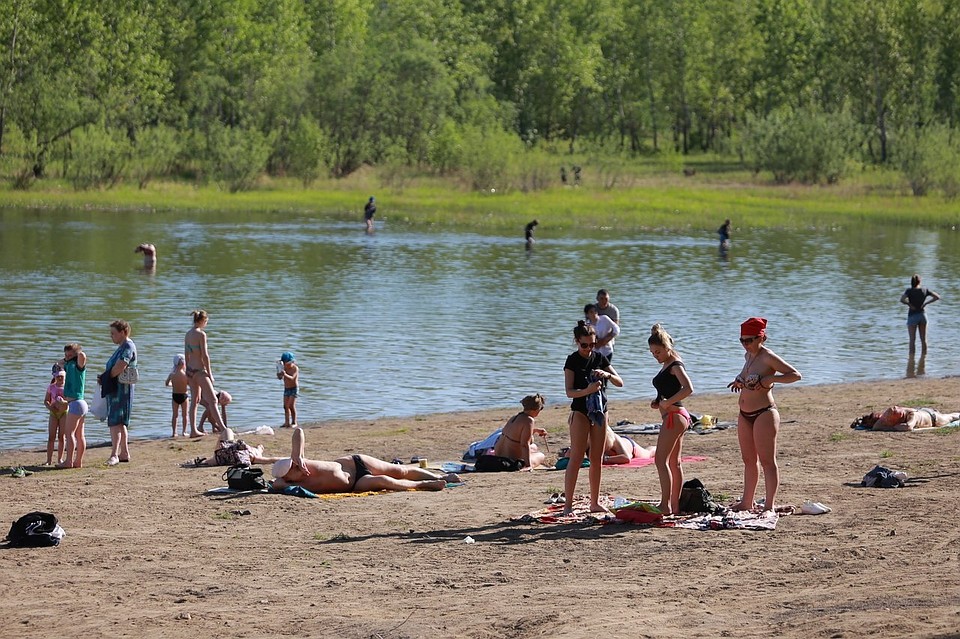 Пляж острова Отдыха в Красноярске украсят 30 пальмами.