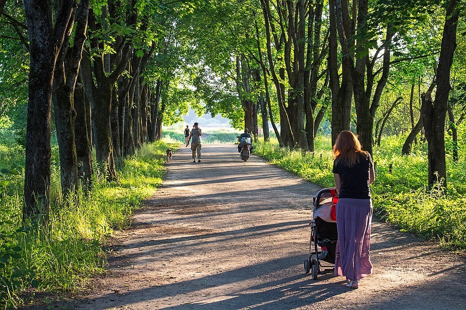 ФОТО:pixabay.com