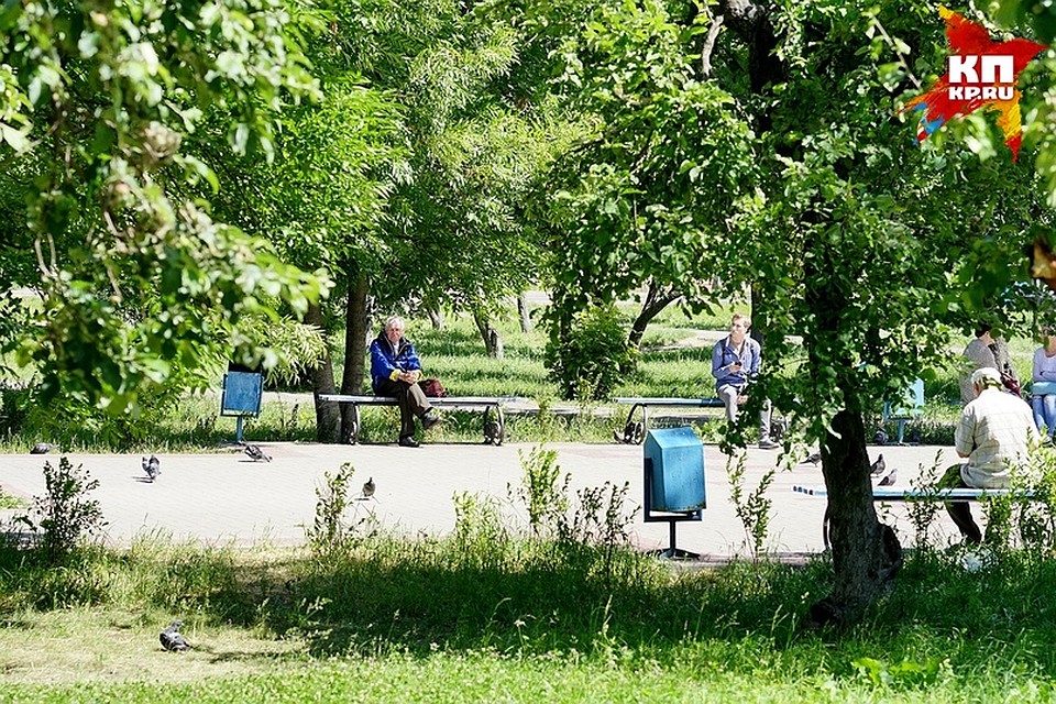 В Орле займутся ремонтом сквера «Орлята»