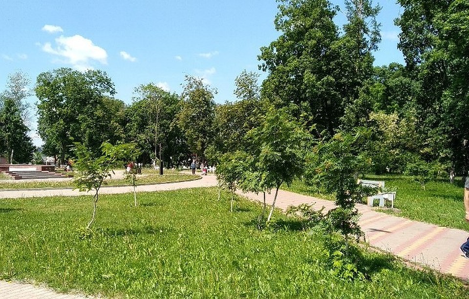 Встречи в «Летних парках чтения» будут проходить регулярно
