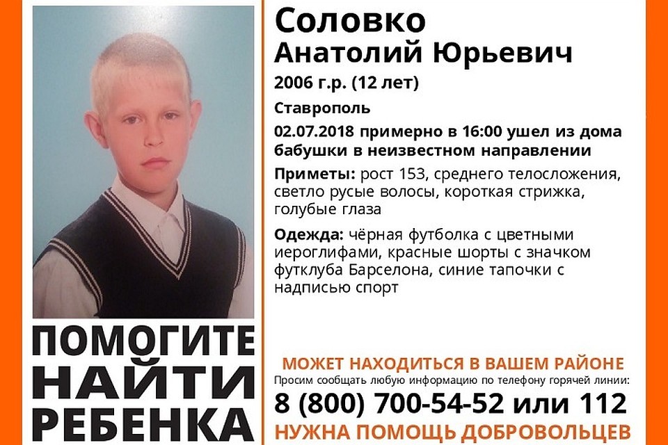 Фото: поисковый отряд «Лиза Алерт»