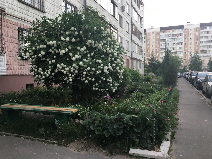 Конкурс призывает собственников стать ответственнее