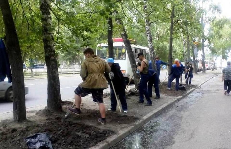 Бойцы студотрядов благоустраивают газоны в центре города. Фото: мэрия Томска