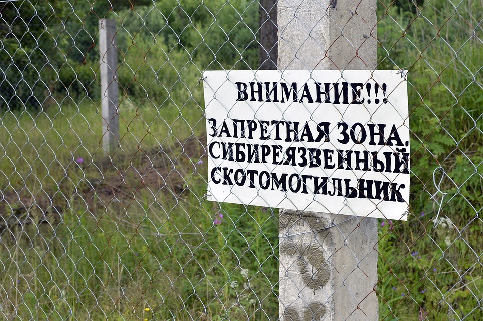 Для многих российских регионов актуальна задача – обеспечить надлежащее состояние скотомогильников. Фото: пресс-служба ЗСТО