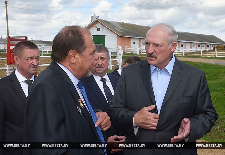 Лукашенко посетил колхоз "Родина". Фото: belta.by