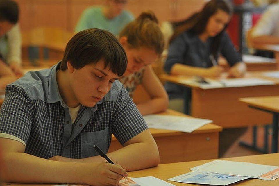 В начале письма девушка иронично извинилась за то, что пишет обращение в неофициальной форме, объяснив это тем, что их в школах не учат, как оформлять жалобы.