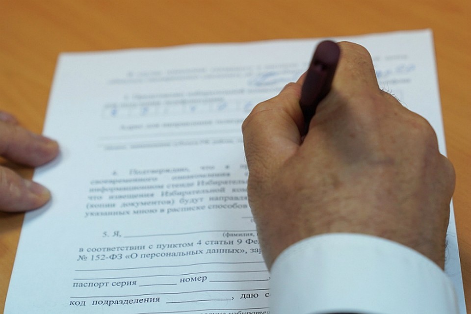 За пост мэра Хабаровска поборются десять кандидатов