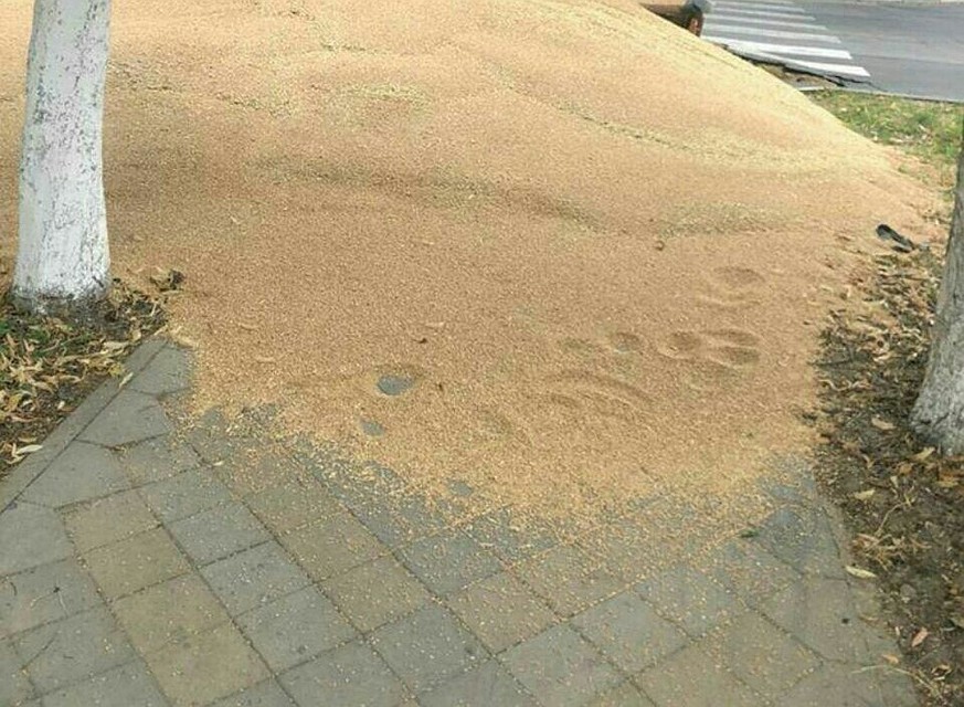 Фото: "ЧП Армавир"