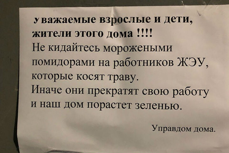Фото: из группы «Дядьково, Сокол Ярославль - Районы 76» в сети «ВКонтакте».