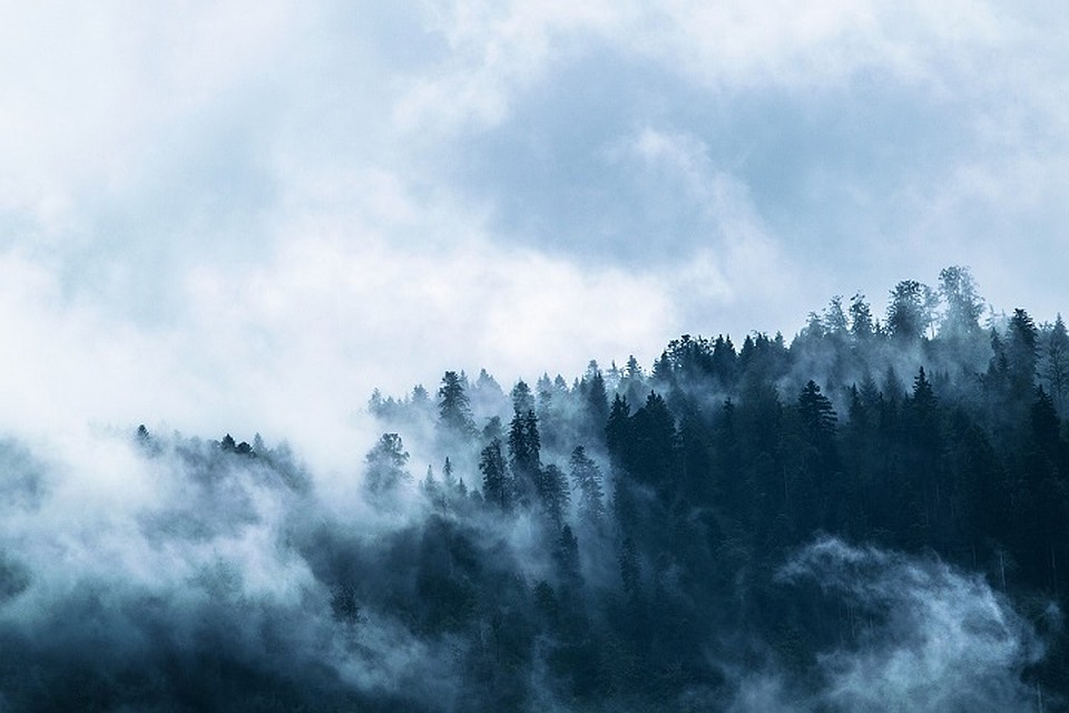 Фото: Pixabay.com
