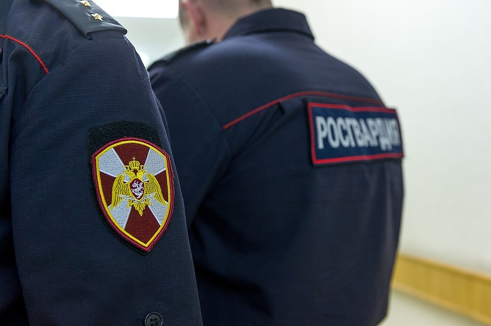 В центре Петербурга задержали молодых людей, которые стреляли по окнам жилого дома из пневматики.