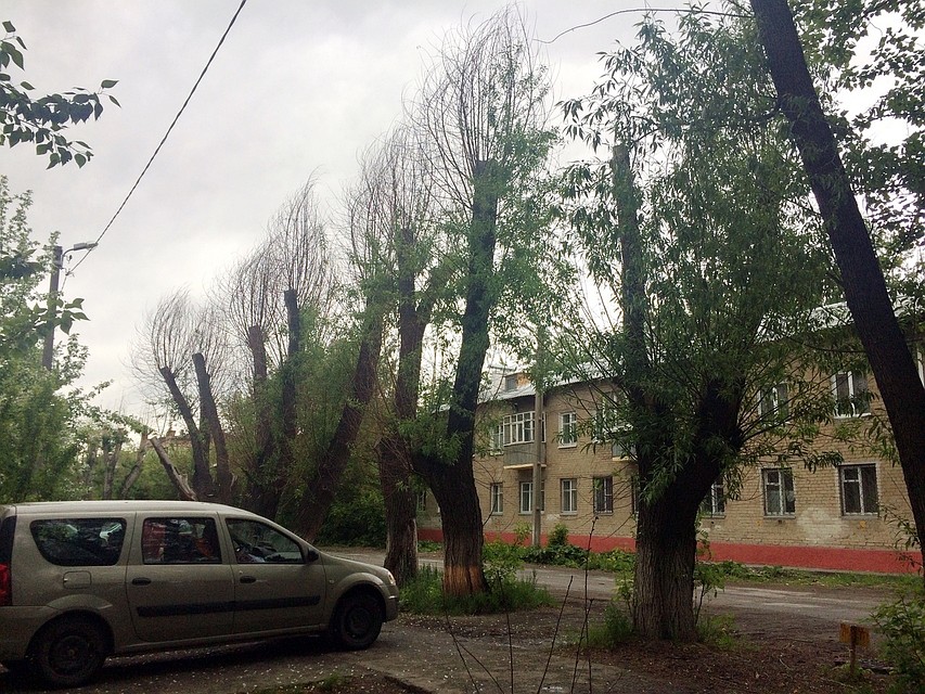 Такие обрезки стоят по всему городу. Фото: Гражданский патруль