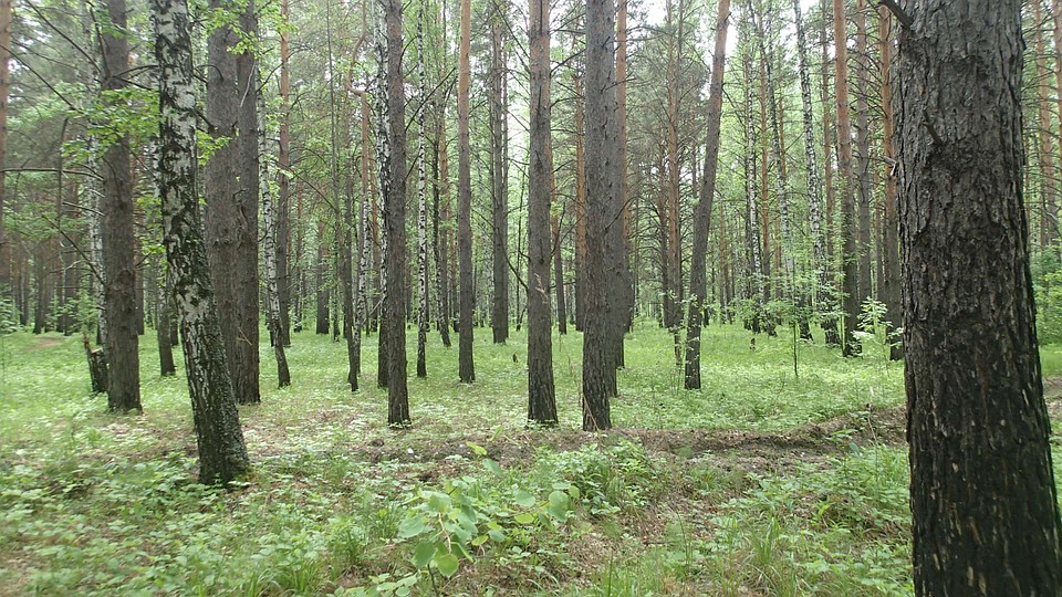 Фото пресс-службы прокуратуры Тюменской области